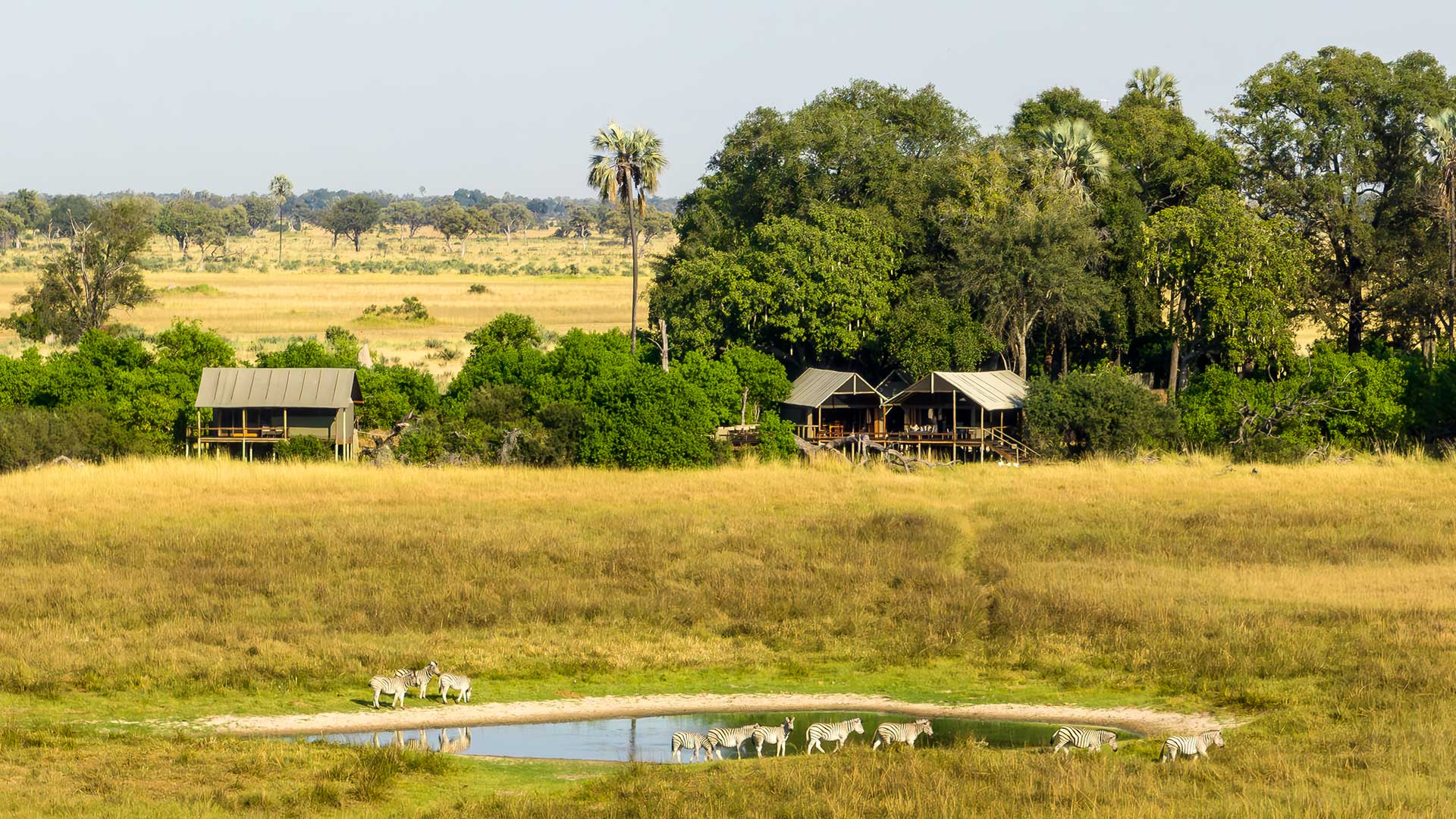 Mokolwane Camp - African Safari Specialists