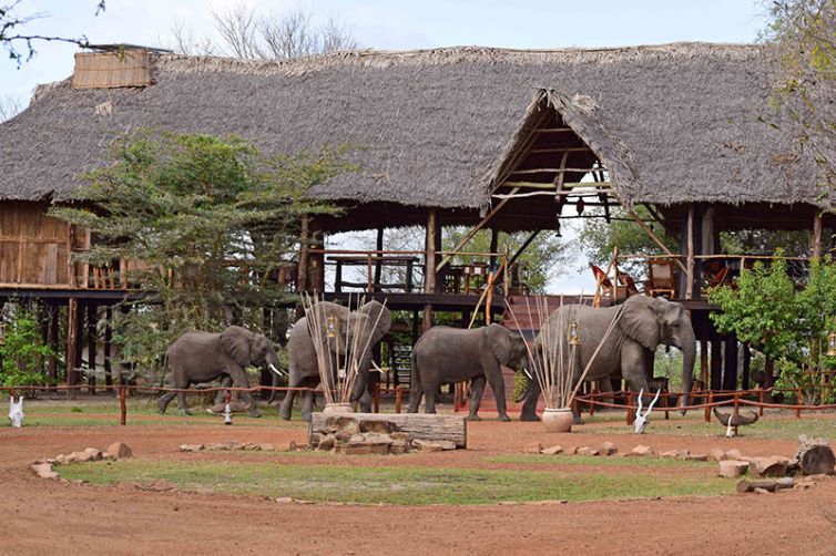 Selous Impala Camp - African Safari Specialists