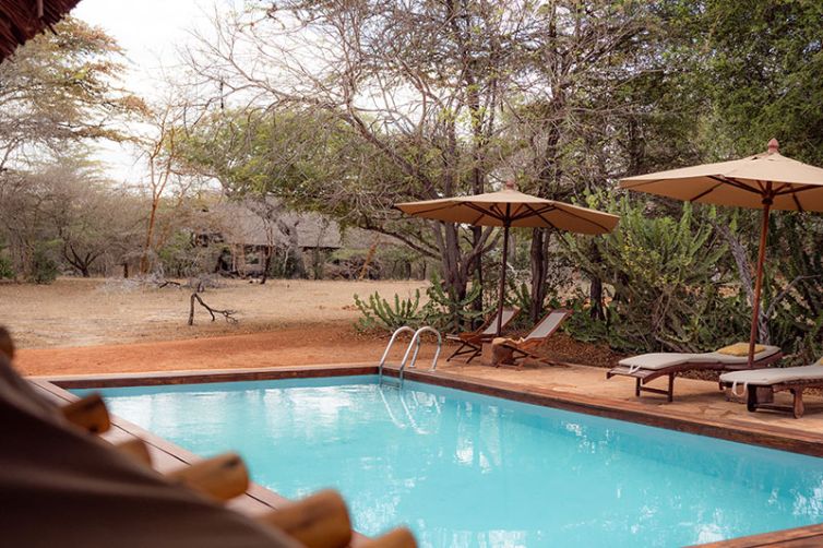 Selous-Impala-Camp-pool