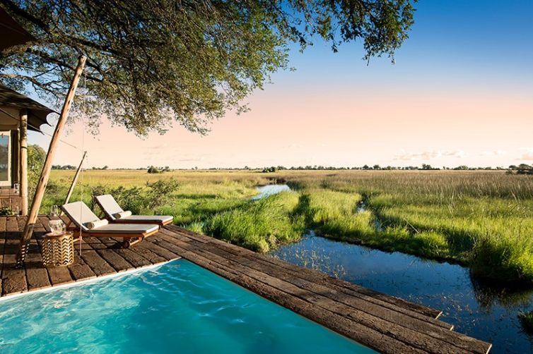 Duba Plains Camp – Botswana Safari