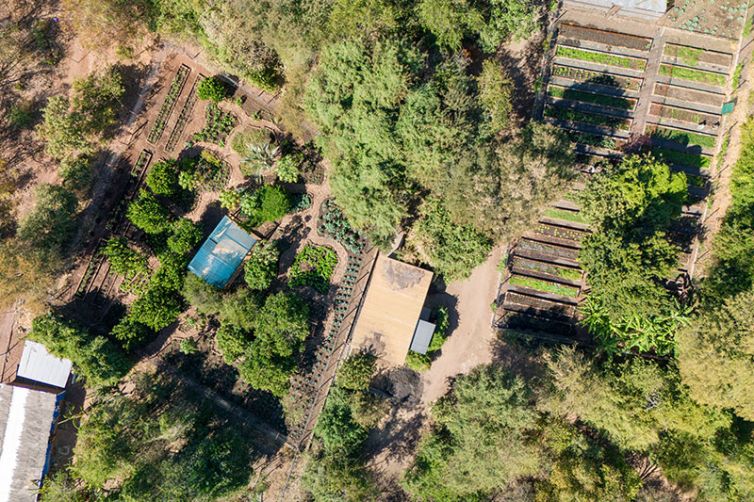 Tongabezi-Lodge-garden-c_GS