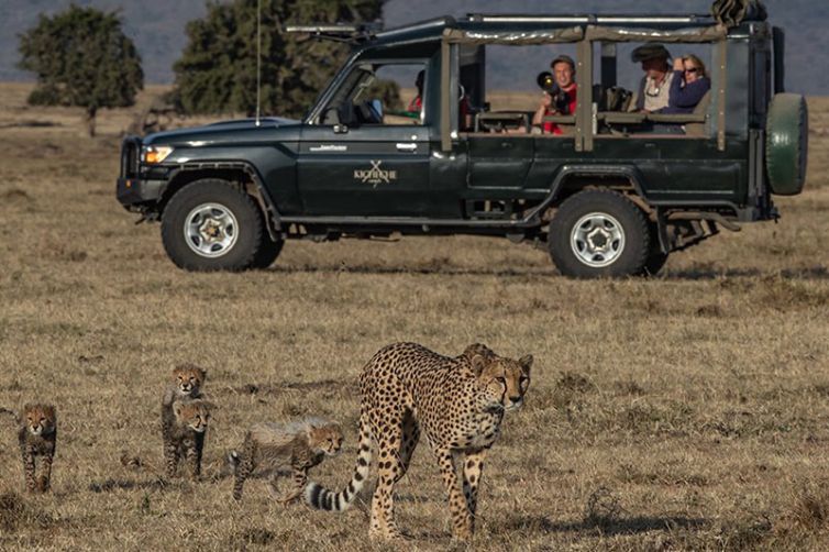 Kicheche Camps - Masai Mara - Laikipia