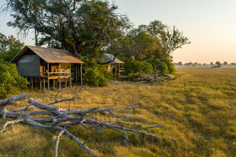 Mokolwane Camp - Exterior View