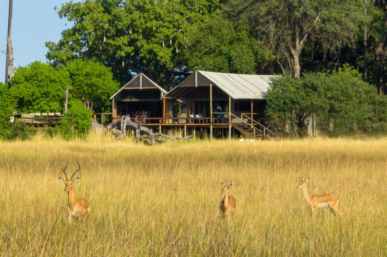 Mokolwane Camp - Tailor-Made Safari Trips