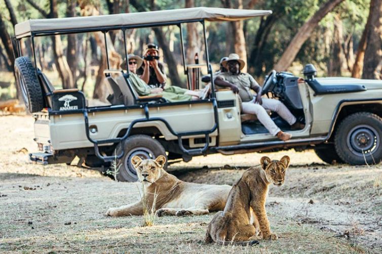 Anabezi Camp | Zambia Accommodation | Safari Consultants