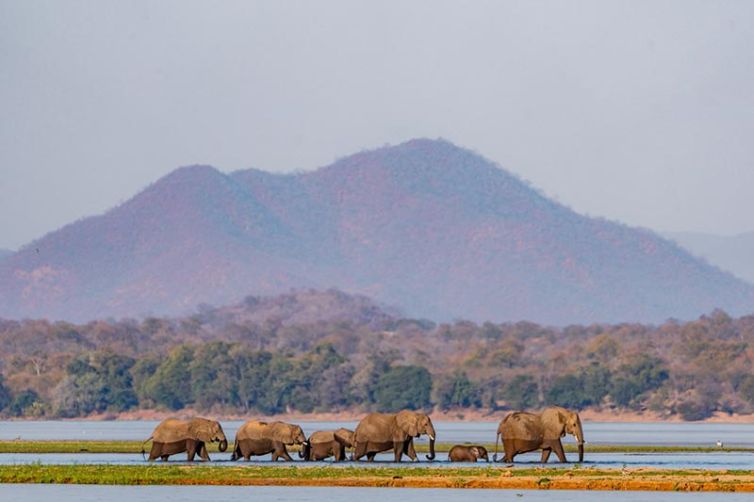 Anabezi Camp | Zambia Accommodation | Safari Consultants