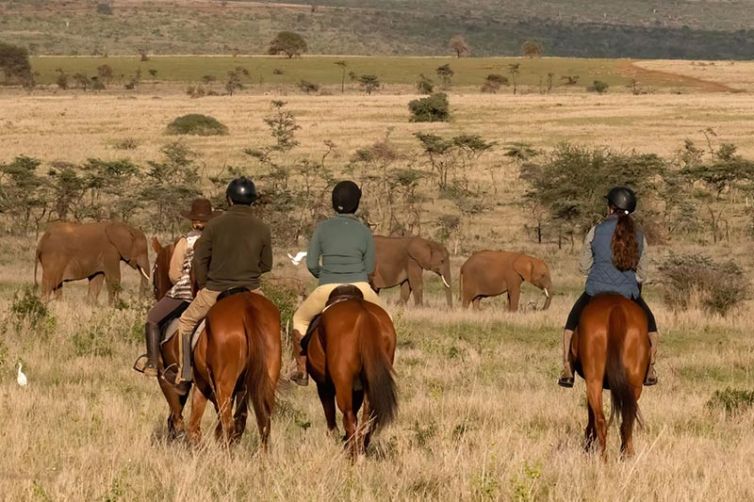 El Karama Lodge | Family Travel | Kenya