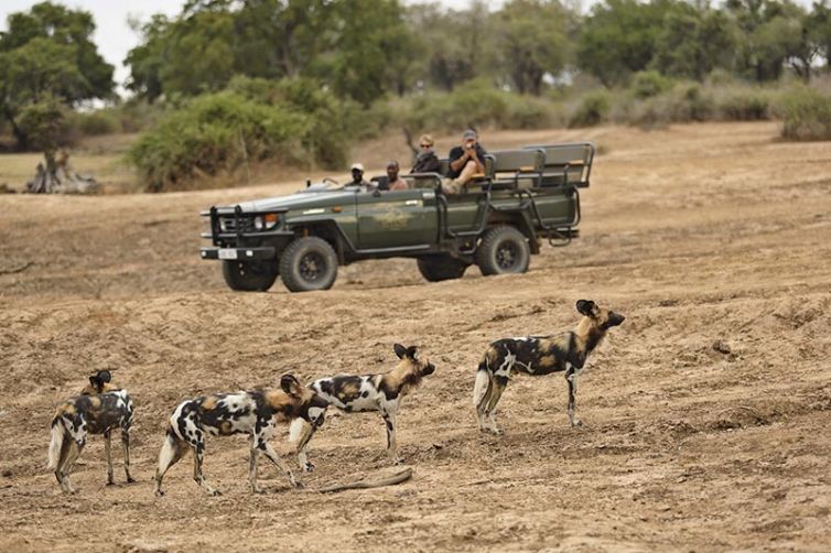Lion Camp, South Luangwa National Park - Safari Consultants