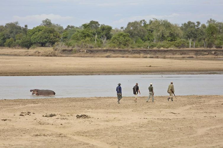 Lion Camp, South Luangwa National Park - Safari Consultants