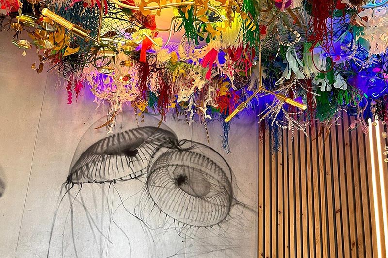 Salsify at The Roundhouse