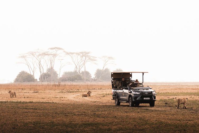 Africa Safari Holiday Specialists, Tailor-Made Safari Trips