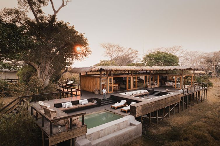 Africa Safari Holiday Specialists, Tailor-Made Safari Trips
