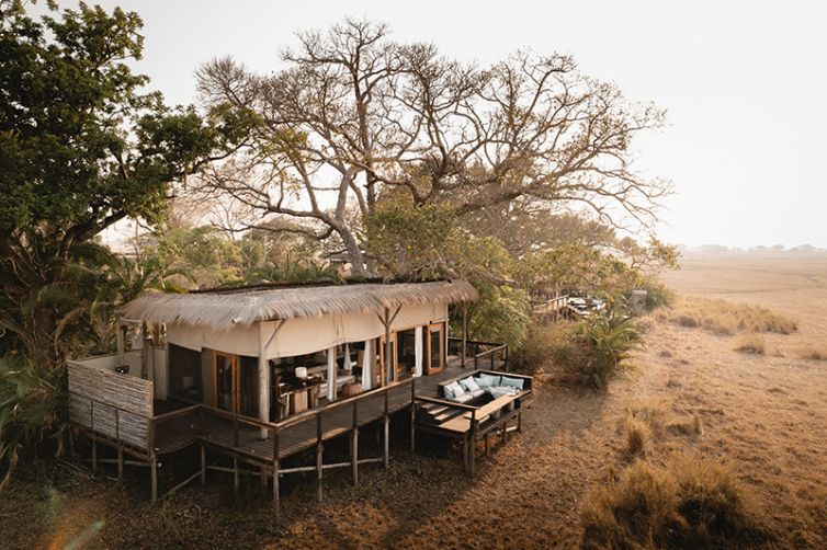 Africa Safari Holiday Specialists, Tailor-Made Safari Trips