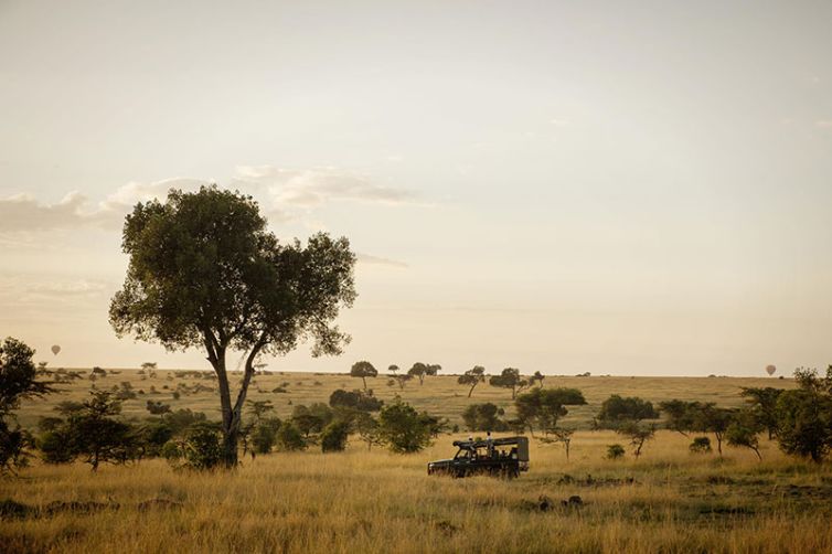 Africa Safari Holiday Specialists, Tailor-Made Safari Trips