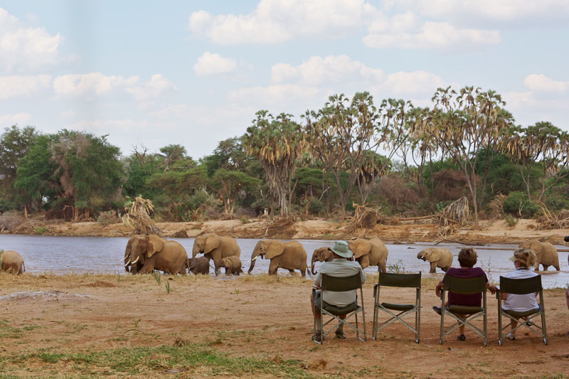 12 Sarara Wilderness Elephants c S