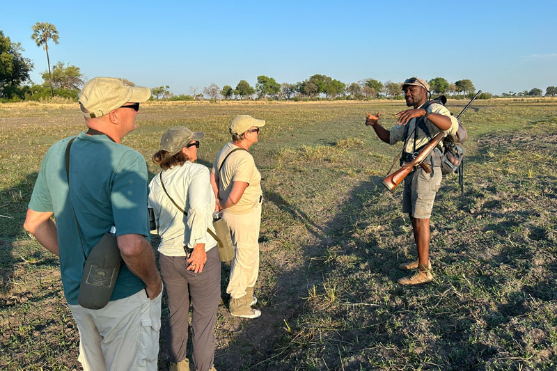 15 kweene trails walking safari okavango delta