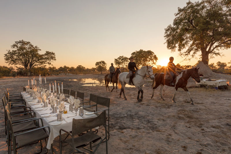 19 Macatoo Horse Riding Okavango Delta