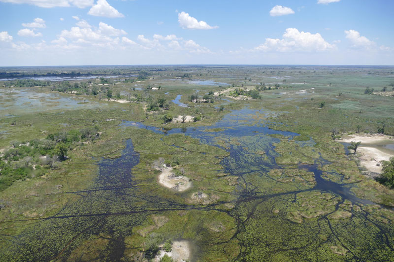2 Okavango Delta Botswana