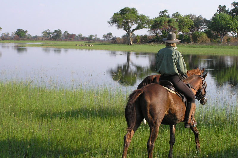 21 okavango delta horse riding