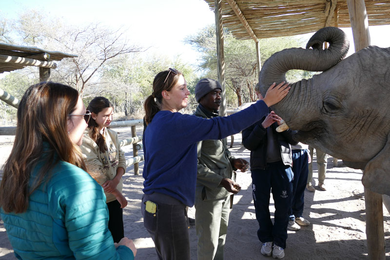 24 Elephant Havens Okavango Delta
