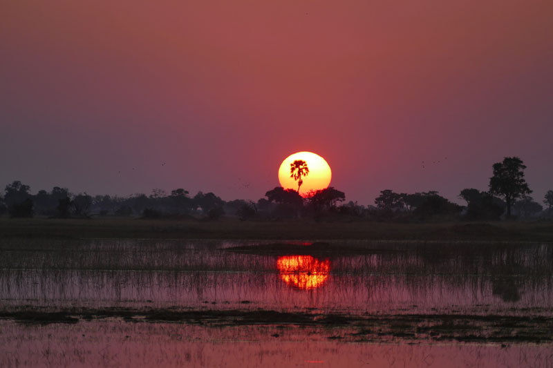 30 Sunset Okavango Delta
