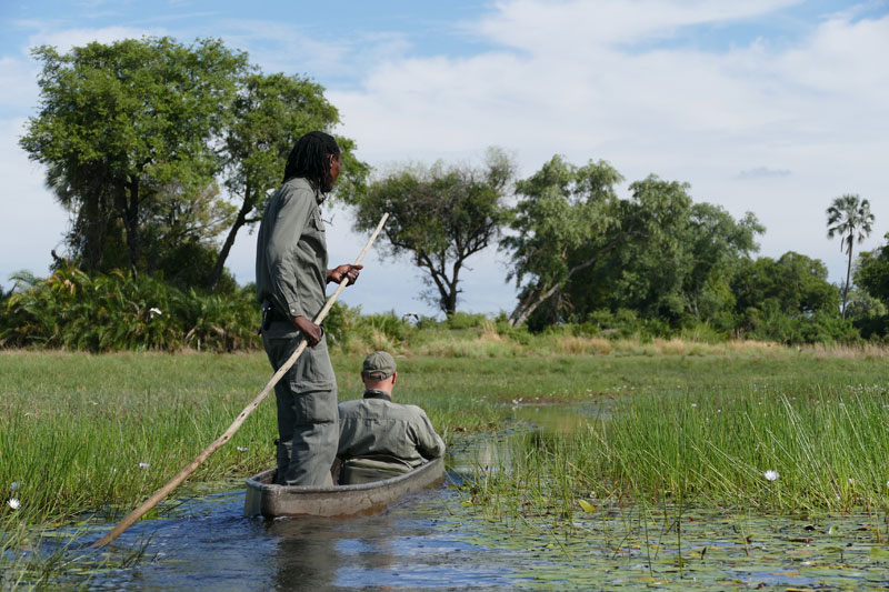 7 Mokoro Excursion Okavango Delta