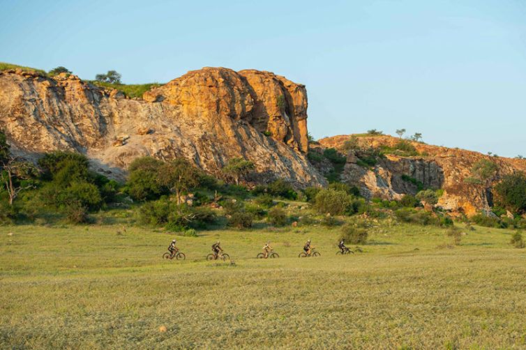 Africa Safari Holiday Specialists, Tailor-Made Safari Trips