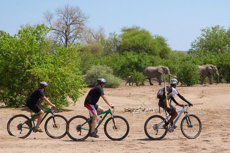 Africa Safari Holiday Specialists, Tailor-Made Safari Trips