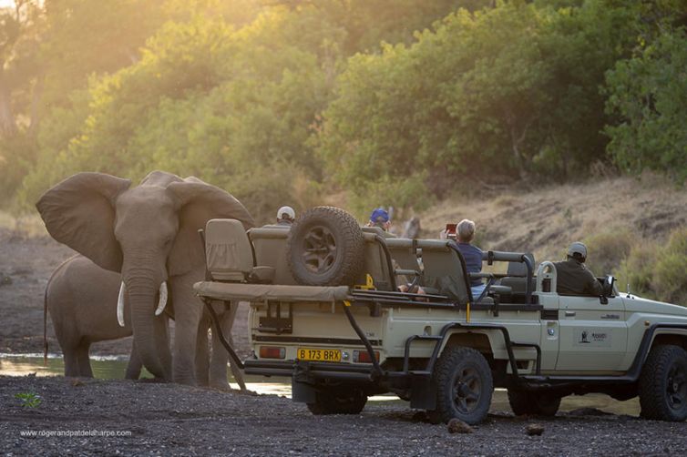 Africa Safari Holiday Specialists, Tailor-Made Safari Trips