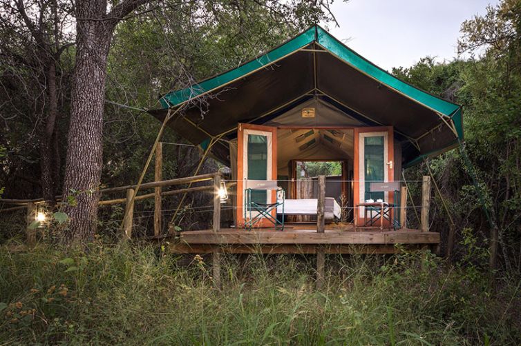 Africa Safari Holiday Specialists, Tailor-Made Safari Trips