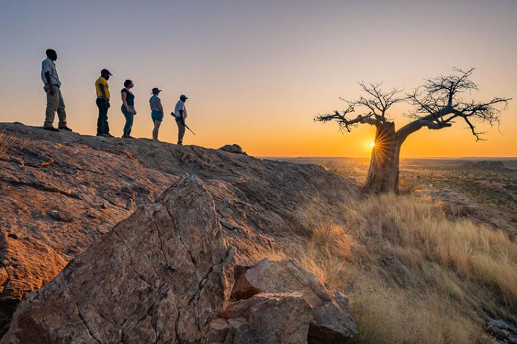 Africa Safari Holiday Specialists, Tailor-Made Safari Trips