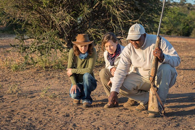 Africa Safari Holiday Specialists, Tailor-Made Safari Trips