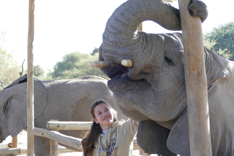 10. Best Family safari