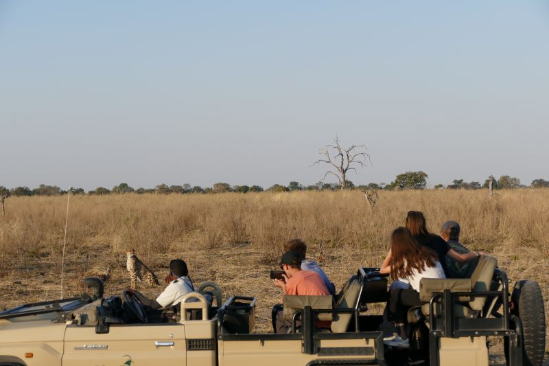15. Best family safaris game viewing