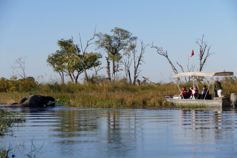 17. Family Safaris Botswana
