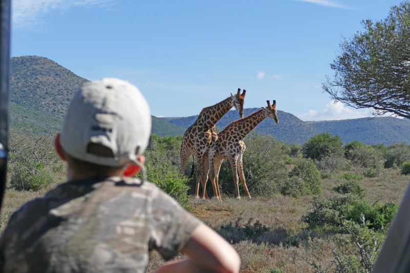 22. Best family safaris Kenya