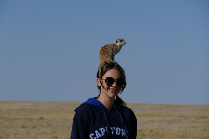 5. close encounters with animals for children on safari