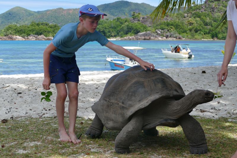 7 close encounters with animals on safari for children