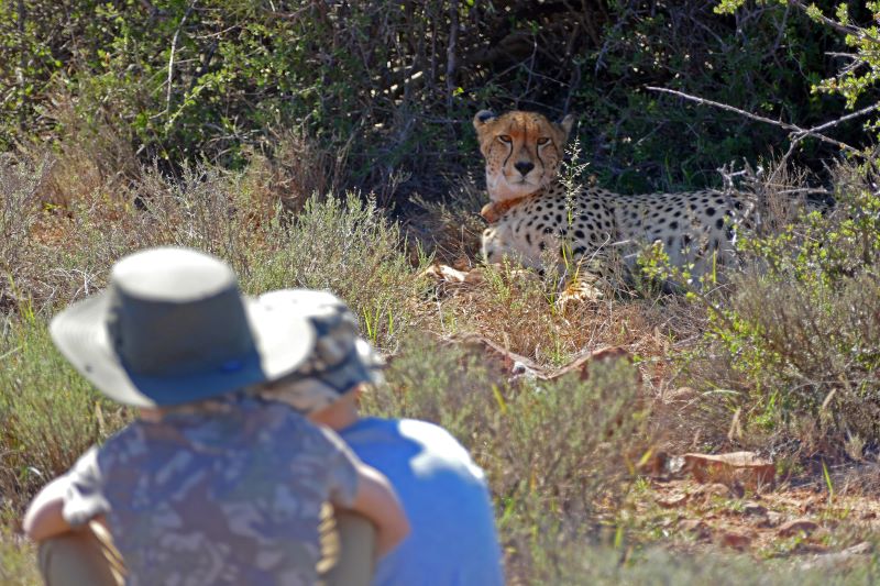 8. Best family safari