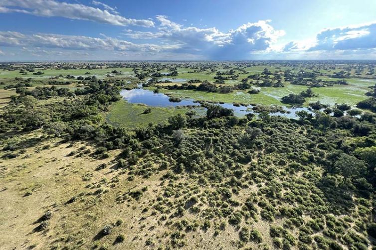 Kala Camp – Okavango Delta including Moremi Game Reserve