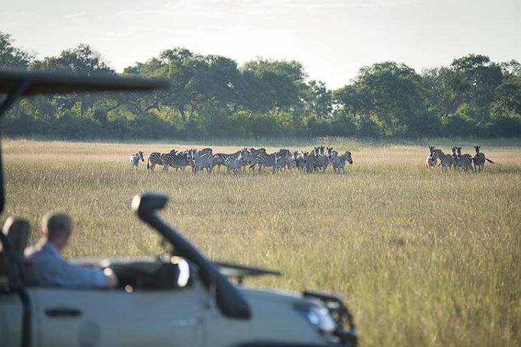 Karangoma | Okavango Delta Safari Reserves | Botswana