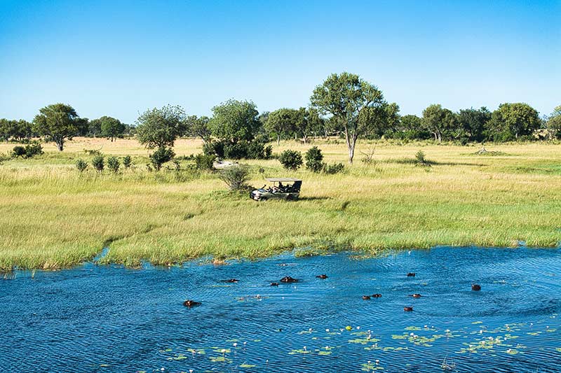 Karangoma, Okavango Delta - Safari Consultants
