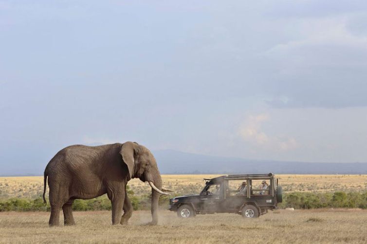 Kicheche Laikipia Camp