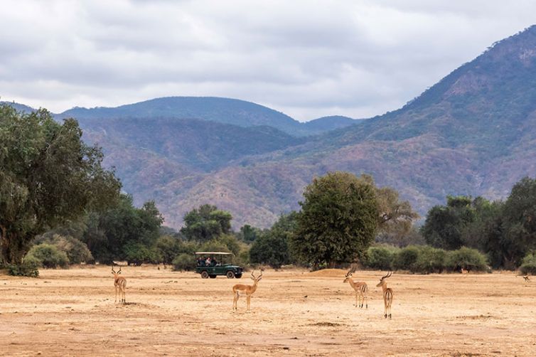 Time-+-Tide-Chongwe-House-game-drive-c_TAT