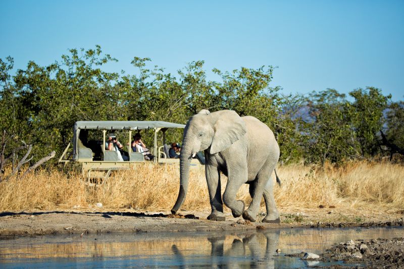 10 Etosha Heights Giraffe Conservation Game Drive