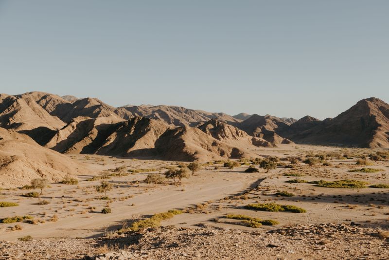 31 Giraffe Conservation Hoanib Landscape1