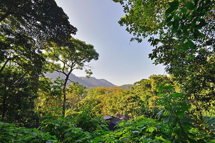 Buhoma Lodge - Twin Rooms