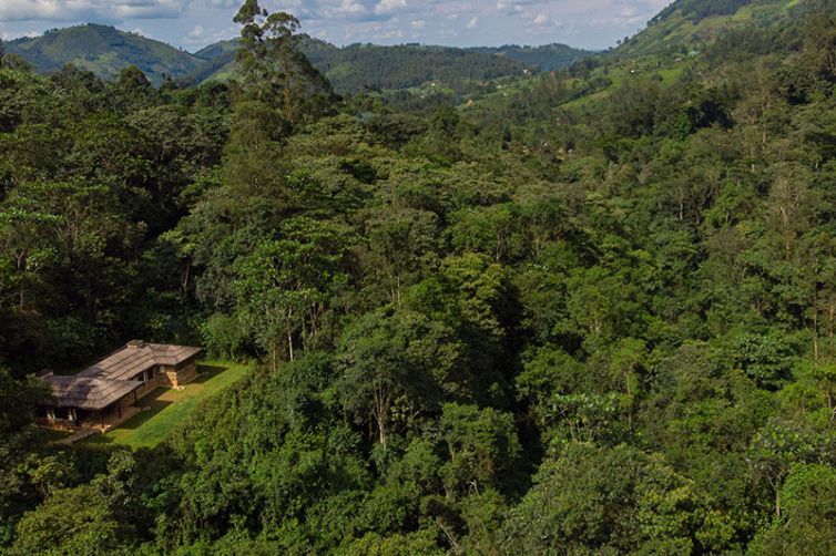 Uganda - Bwindi Lodge