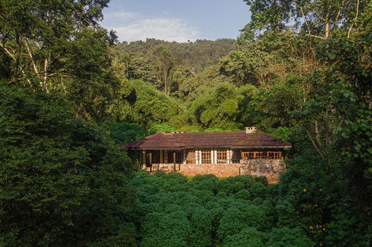 Uganda - Bwindi Lodge