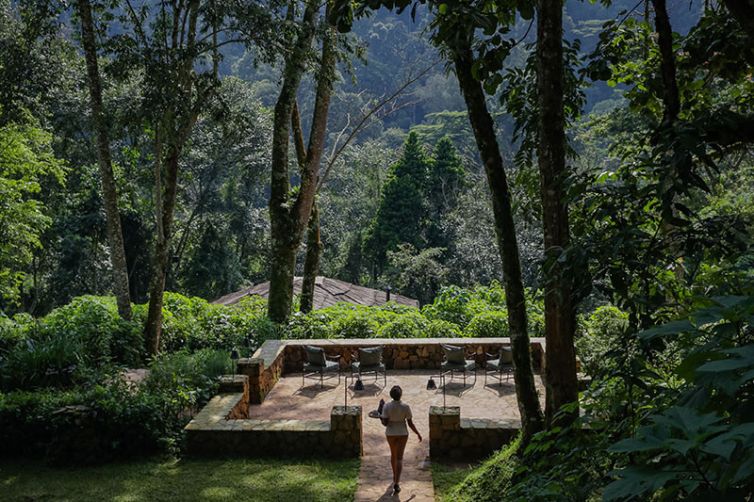 Uganda - Bwindi Lodge